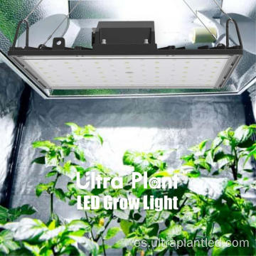 Las plantas de interior de espectro ultravioleta regulable led crecen ligeras